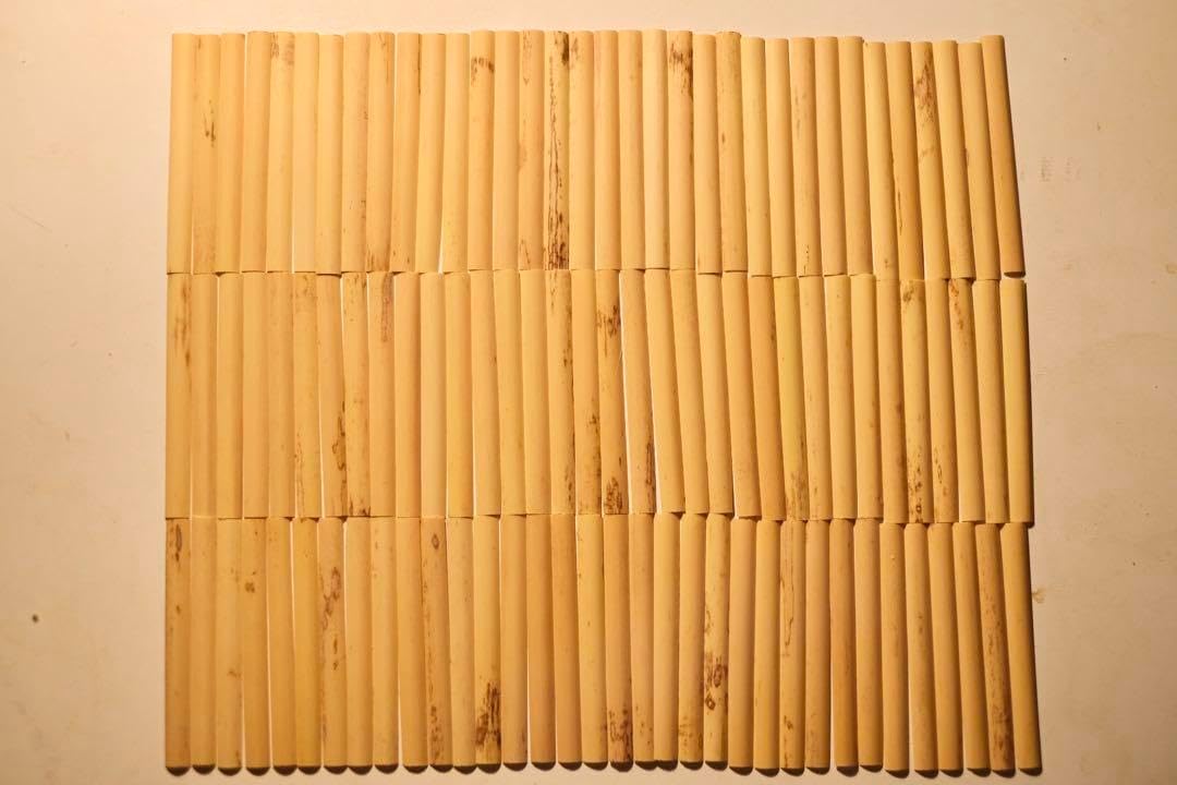 新品】オーボエ かまぼこケーン100枚＋予備5枚 メーカー不明